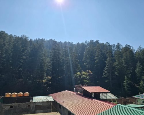 WhatsApp-Image-2025-01-28-at-19.18.17-1-1